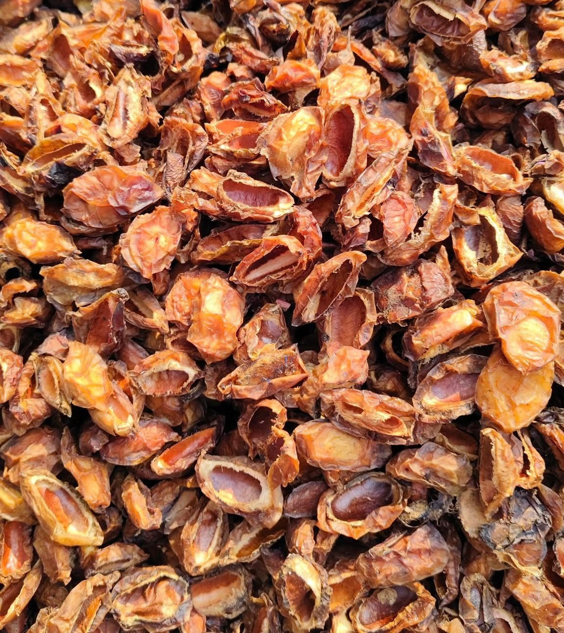 မရမ်းပြားခြောက် 120g